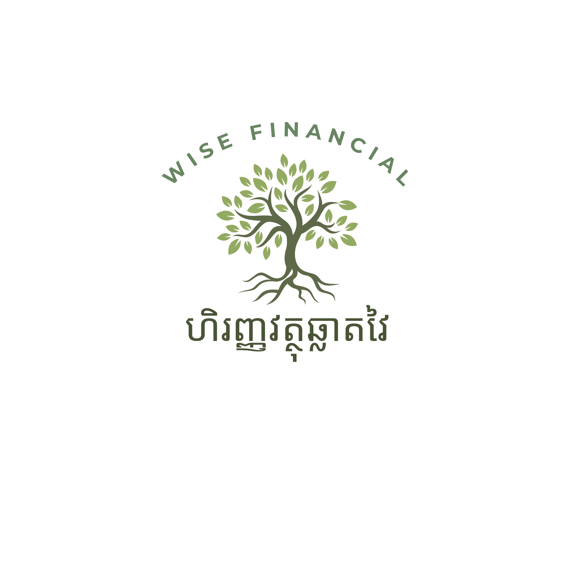 Wise Financial Cambodia